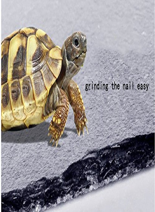 OMEM Turtle Reptile Rock Food Plate Grinding The Nail (S) - Image 5